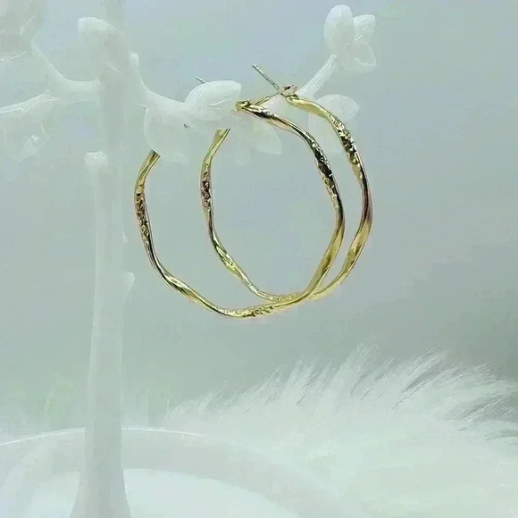 Women's Twisted Circle Design Hoop Earrings in Gold - Picture 1 of 6